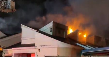 Tragedia na Florydzie. W pożarze schroniska zginęły koty