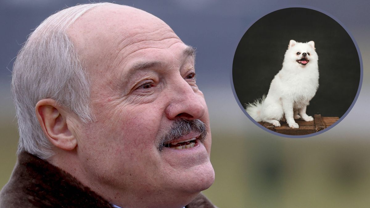 Pies dyktatora to jego największa słabość