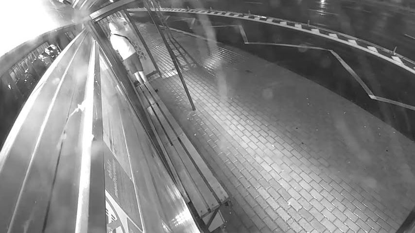Kadr z zapisu monitoringu z dn. 17 sierpnia około godz. 21.14,