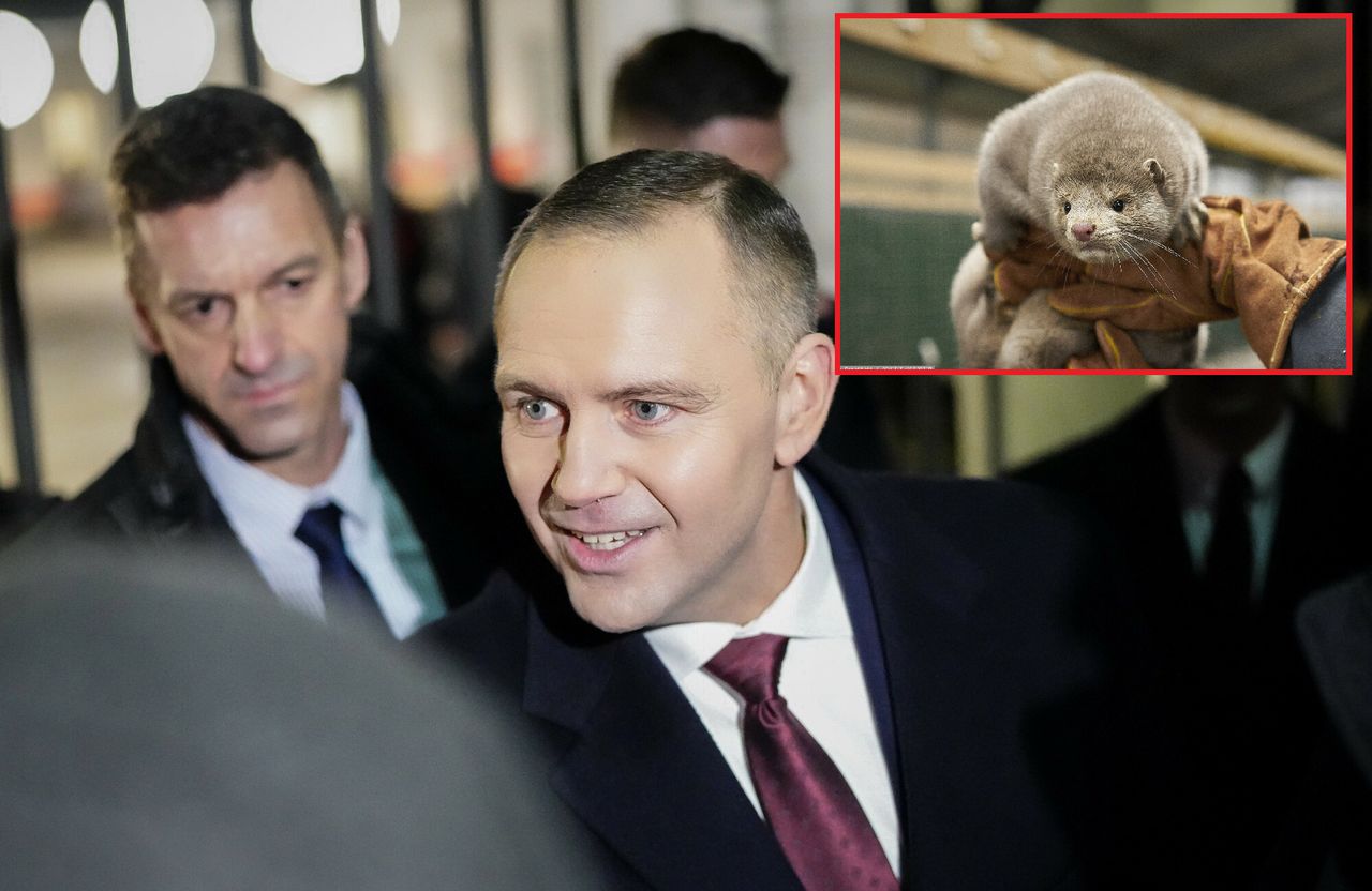 Nieoczywiste oceny weta i podpisu prezydenta. Pierwsza taka sytuacja w kadencji Nawrockiego