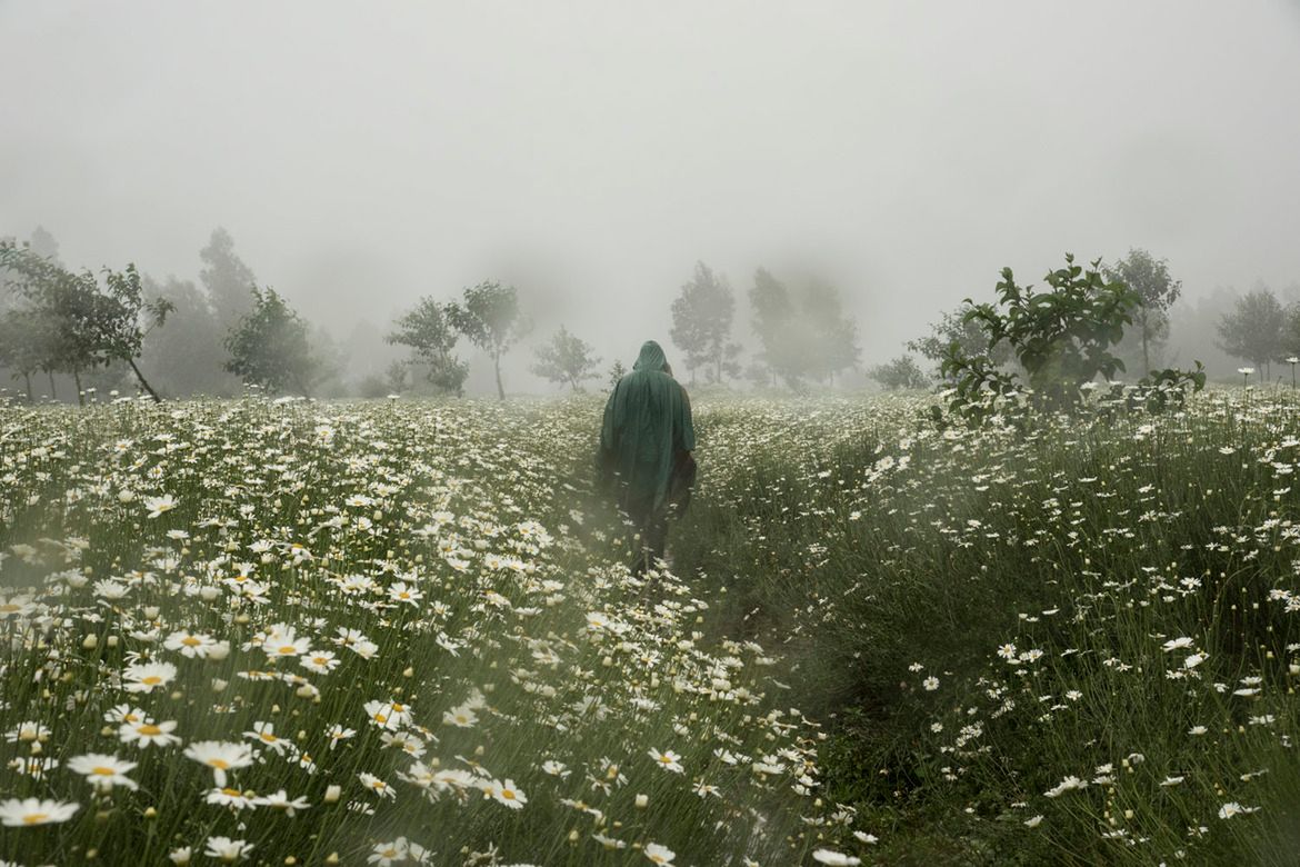 Cezary Filew wyróżniony w konkursie Travel Photographer of the Year 2017 26