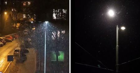 Pierwsze opady śniegu. W sieci opublikowali nagrania