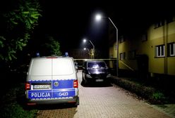 Po jej zniknięciu ruszył Child Alert. Nowe wieści ws. 5-latki