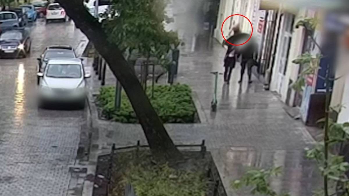 Pies wyskoczył z okna mieszkania na 2. piętrze i spadł na idącą chodnikiem kobietę