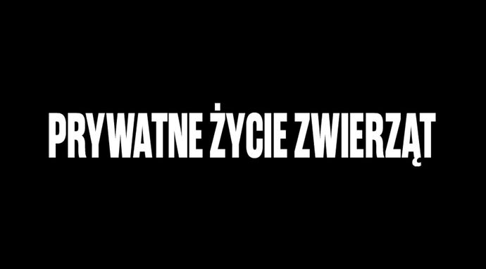 Prywatne życie zwierząt 12