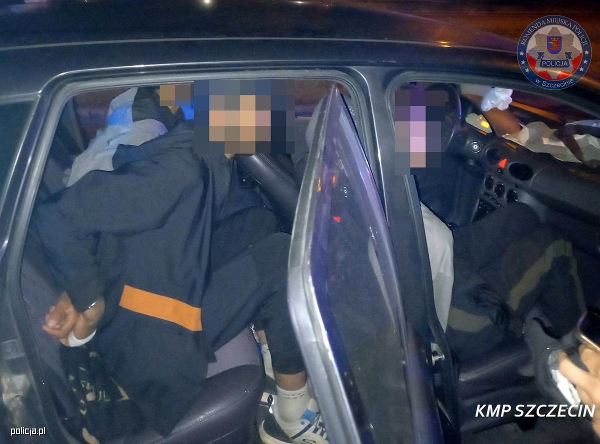 Nocna kontrola zakończona zatrzymaniem przemytnika ludzi