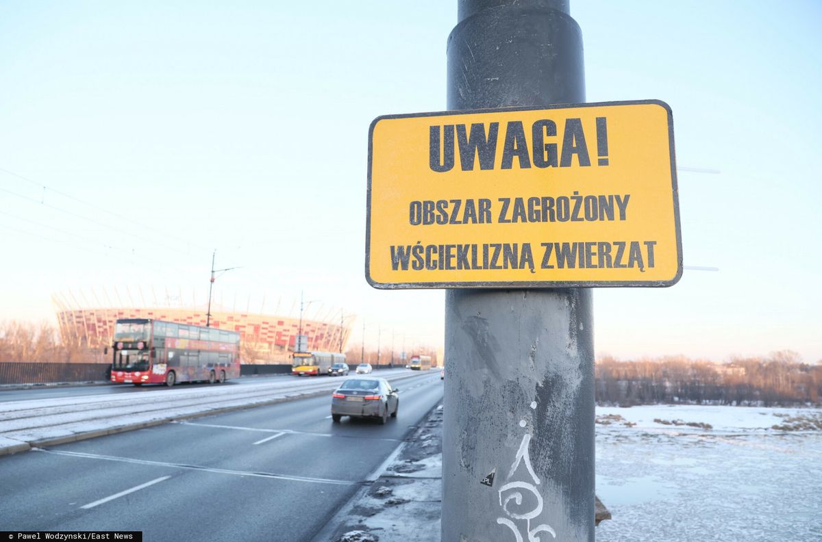 Ostrzeżenie przed wścieklizną  w Warszawie 