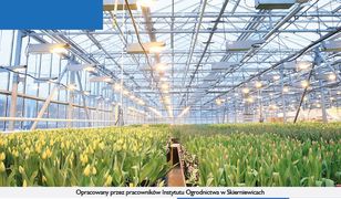 Program Ochrony Roślin Warzywnych i Ozdobnych Uprawianych pod Osłonami 2017