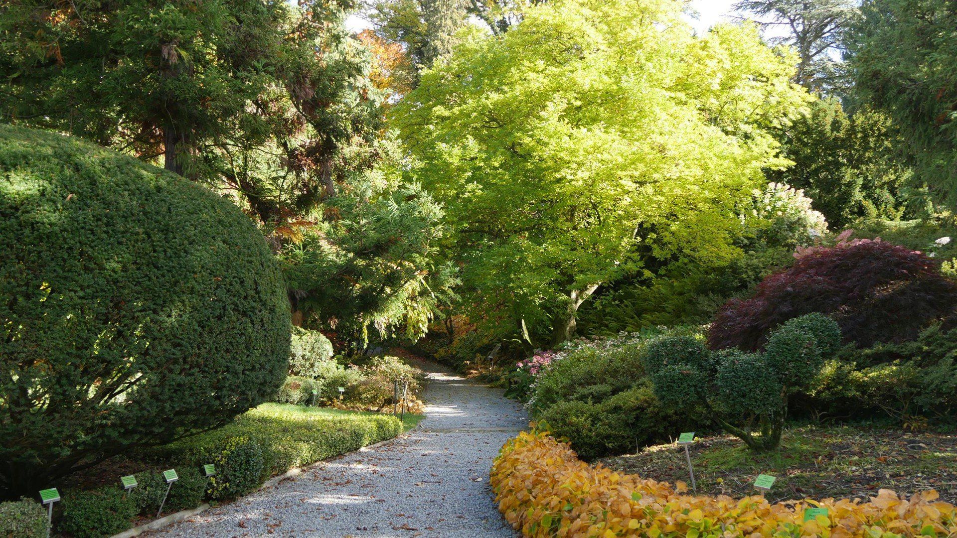 Zakończenie sezonu 2025 w Arboretum Wojsławic