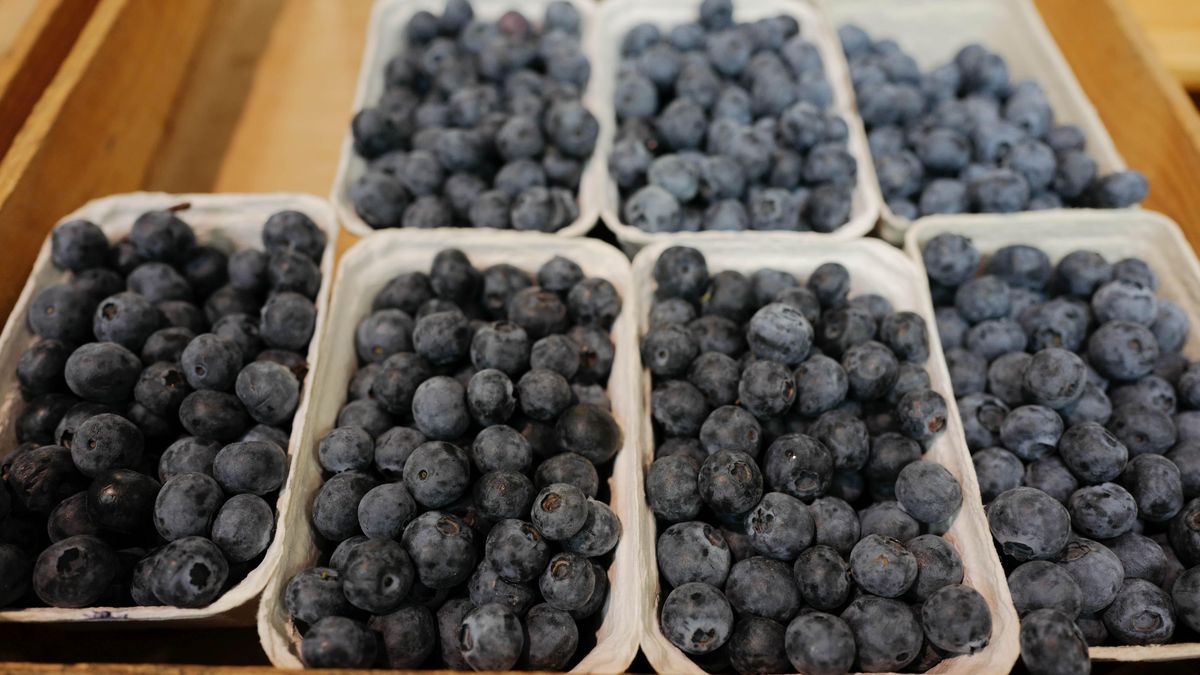 Ile kosztują borówki w Polsce? Porównali ceny z dyskontów z tymi na bazarze