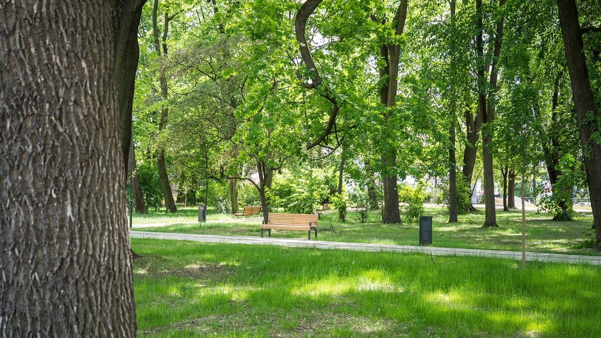 Rewitalizacja Parku Bronowickiego