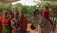 Zebra opowiada o kakao z Ghany w reklamie gorzkiej czekolady Wedel (wideo)