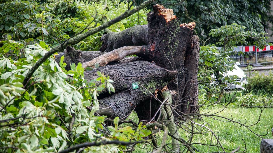 Burze przetoczyły się nad Polską siejąc zniszczenie 