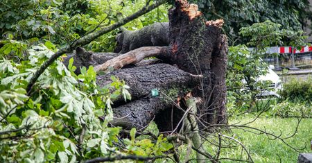 Trąba powietrzna w Koniecpolu. "Prawdziwy kataklizm"