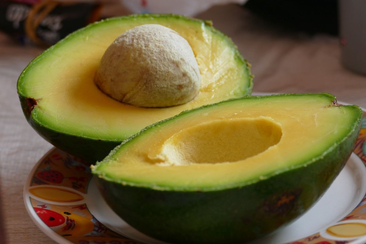 Discover the effects of eating one avocado a day