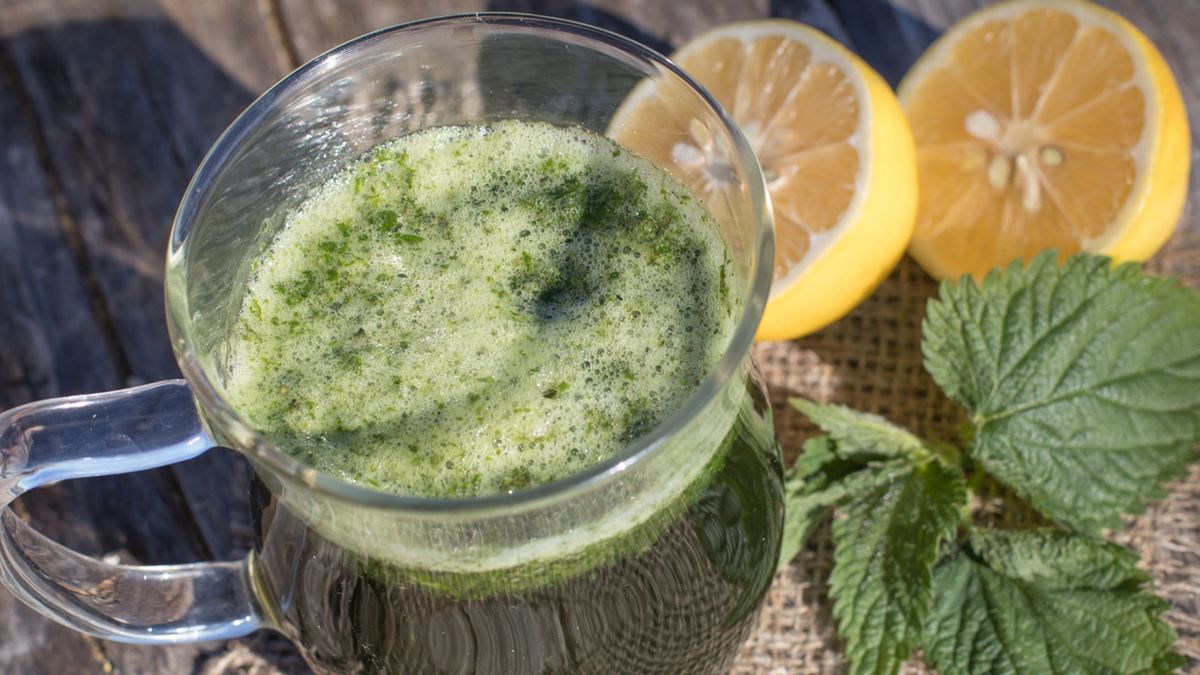 Sok z pokrzywy można przygotować z młodych liści rośliny