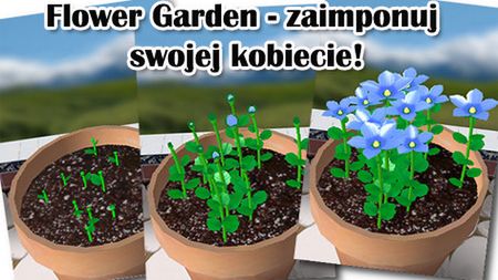 Tydzień na działce z iPhonem! 1