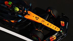 Norris potwierdził mistrzowskie aspiracje. Jasny układ sił w F1