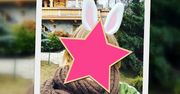 Która gwiazda przebrała się za wielkanocnego zająca? Ona ma dystans do siebie!