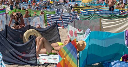 Zauważyła parę na plaży. "Po tym publicznym seansie po prostu wstali"