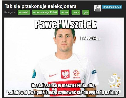 Fot. fangol.pl