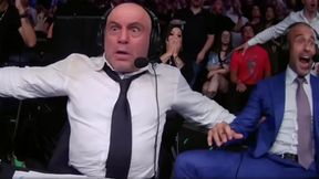 Nicolas Dalby – Muslim Salikhov kursy, typy na UFC Fight Night | 18.06.2023 r.