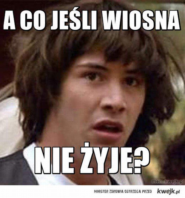 Wiosna nie nadeszła, internauci wyżywają się w memach. Zobaczcie najlepsze z nich 10
