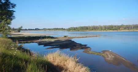 Alarm nad Wisłą. Zasolenie przekracza normy, władze szykują działania