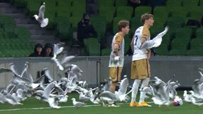 Kuriozalne sceny w meczu. I to w takim momencie!