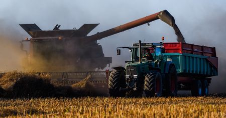 Trzymają zboże i czekają. I powinni czekać dalej. "Prosty mechanizm"