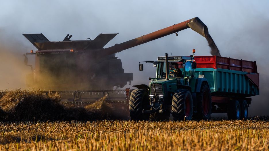 A harvester dumps grain plant into a tractor wagon used to
OBORNIKI, POLAND - 2020/08/11: A harvester dumps grain plant into a tractor wagon used to feed animals on the Greater Poland Voivodeship. (Photo by Omar Marques/SOPA Images/LightRocket via Getty Images)
SOPA Images
harvester, grain plant, wagon, greater poland, voivodeship., feed, animals feed, harvest, farming