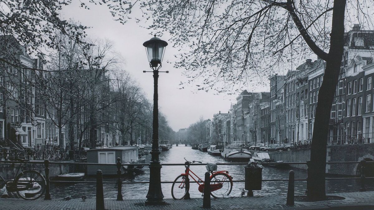 Prywatne zdjęcie cenionego artysty trafiło do IKEA. Teraz zna je cały świat 1