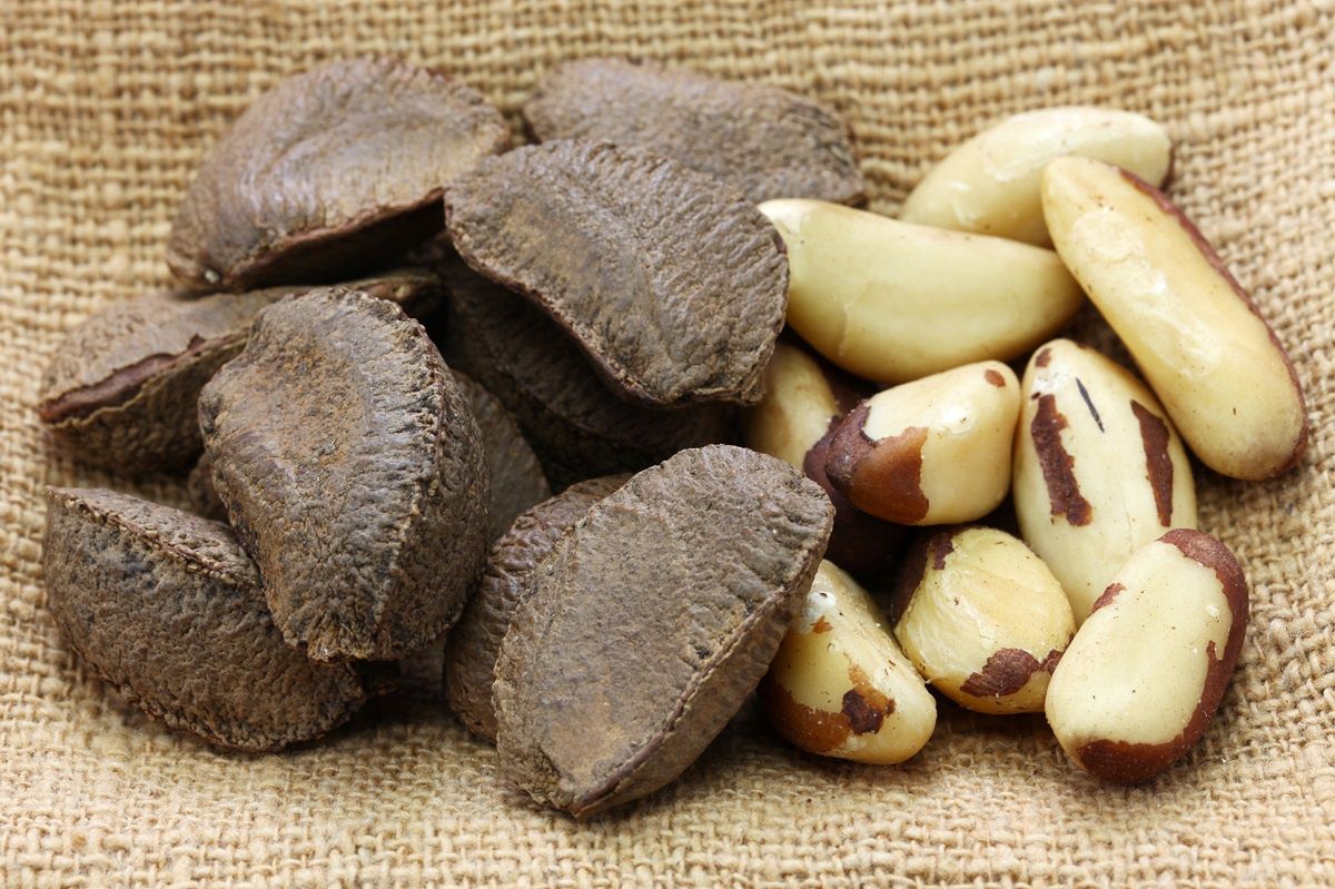 Brazil nuts: The small superfood with powerful health benefits