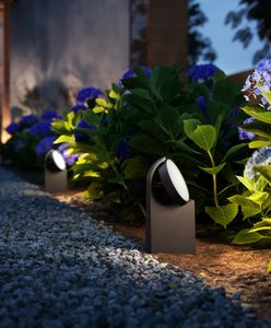 Najlepsze lampy ogrodowe – jak wybrać ekonomiczne i stylowe oświetlenie?