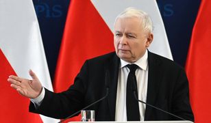 Kaczyński o kartoflach. "Wypowiedź na granicy absurdu"