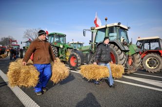 Rolnictwo w Polsce. Nasilają się rolnicze protesty