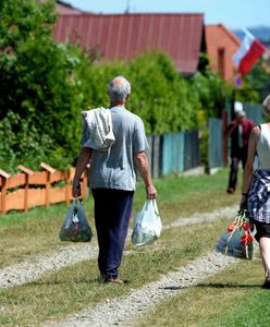 Ogródki działkowe przeżywają renesans. Wśród działkowców coraz więcej młodych