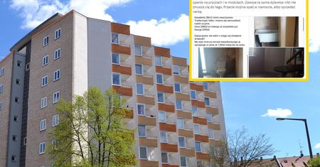 2 tys. zł za ruderę. Śpiewak: Patologia, to nie jest kraj dla ludzi