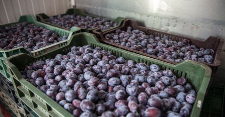 Zostawili go z problemem na 36 tys. zł. Poszkodowanych może być więcej