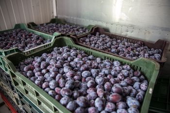 Zostawili go z problemem na 36 tys. zł. Poszkodowanych może być więcej