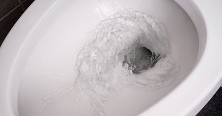 Wlej pół szklanki do WC. Będzie lśnić jak w hotelu