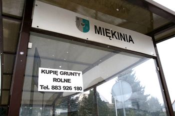 Miękinia: Co dalej z działką przygotowaną dla Intela? PAIH odpowiada