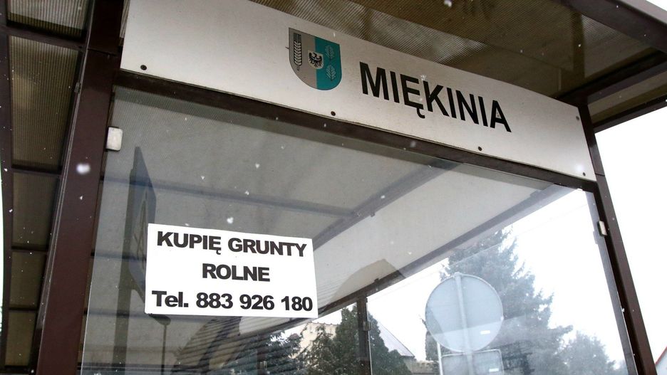 Jak przekazała PAIH, gdy teren w Miękini oficjalnie wróci do puli dostępnych lokalizacji inwestycyjnych, będzie oferowany firmom poszukującym dużych działek z dostępem do odpowiednio wysokiej mocy energetycznej.