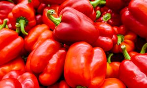 Łatwiutka krzyżówka z wiedzy ogólnej. Każdy powinien ją rozwiązać