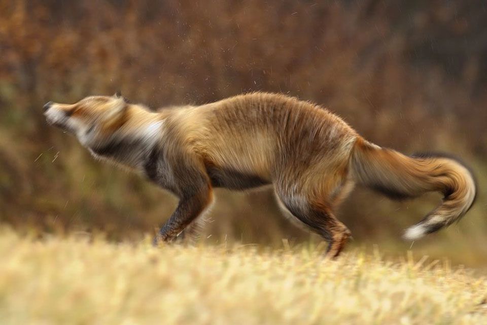 Shake it baby, czyli trochę wody dla ochłody 7