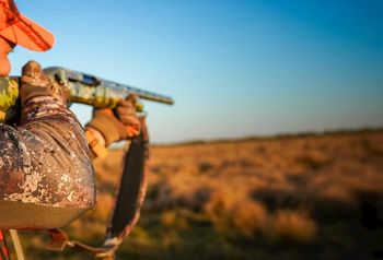 Wpłacił 1 mln zł kaucji. Myśliwy podejrzany o zabójstwo na wolności