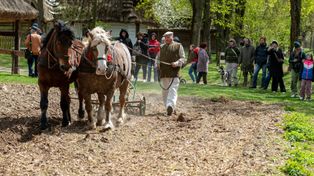 Lublin: Wiosna budzi pola do życia. Pokaz prac polowych w skansenie