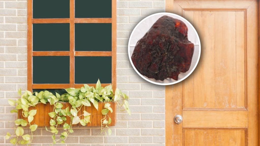 "Głaz" okazał się bursztynem