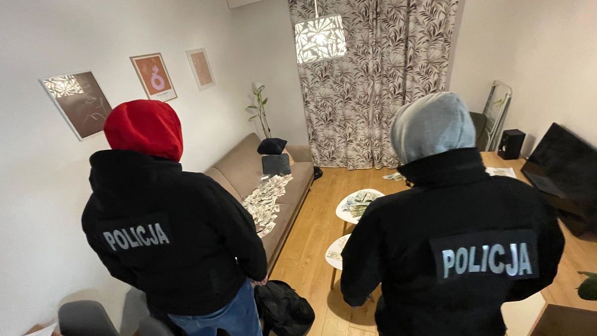 policja