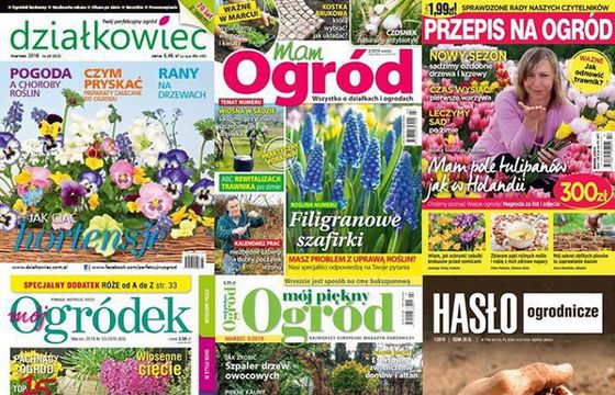 „Działkowiec” liderem sprzedaży w I-III kwartale, „Mam Ogród” najbardziej w dół